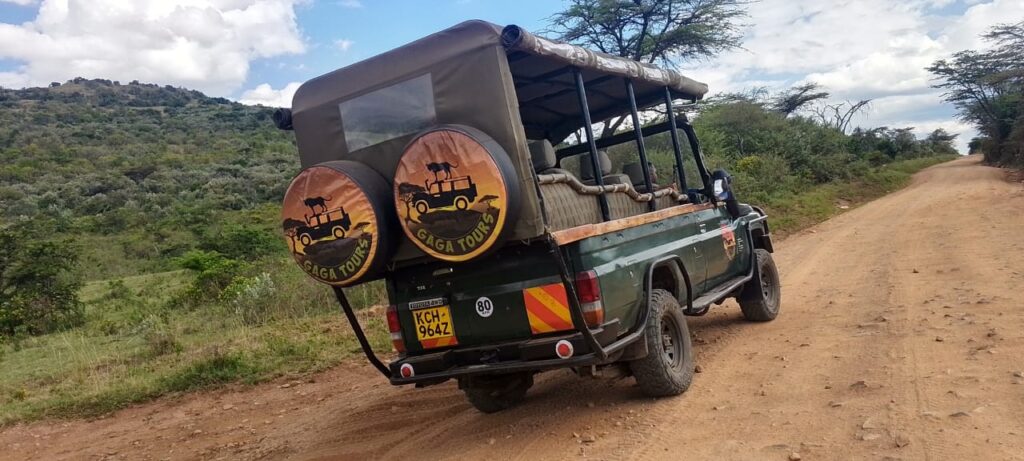 7 days through 5 national parks gaga tours kenya