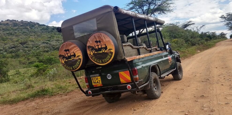 7 days through 5 national parks gaga tours kenya