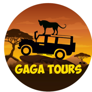 (c) Gagatours.com