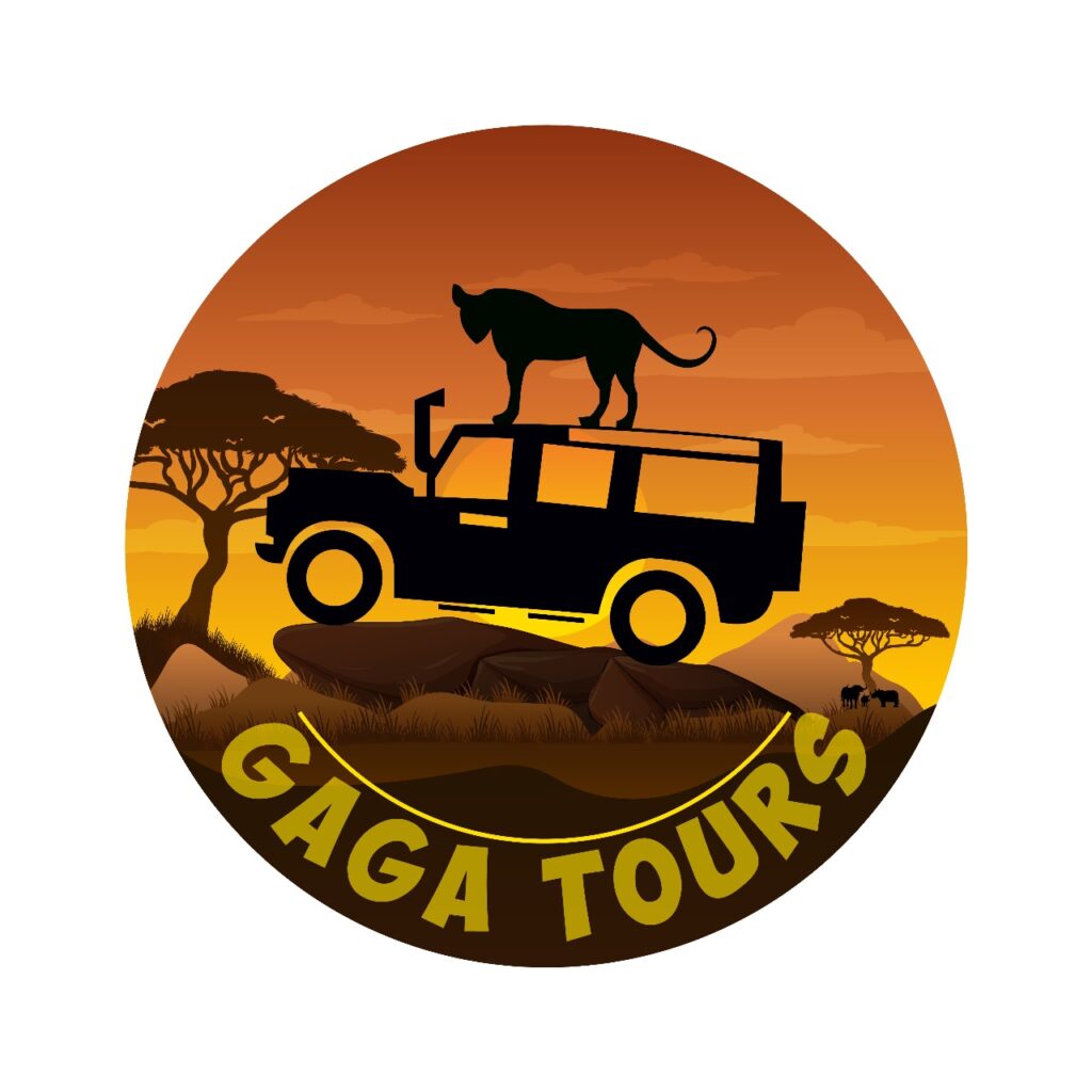 Giraffe Center – Gaga Tours