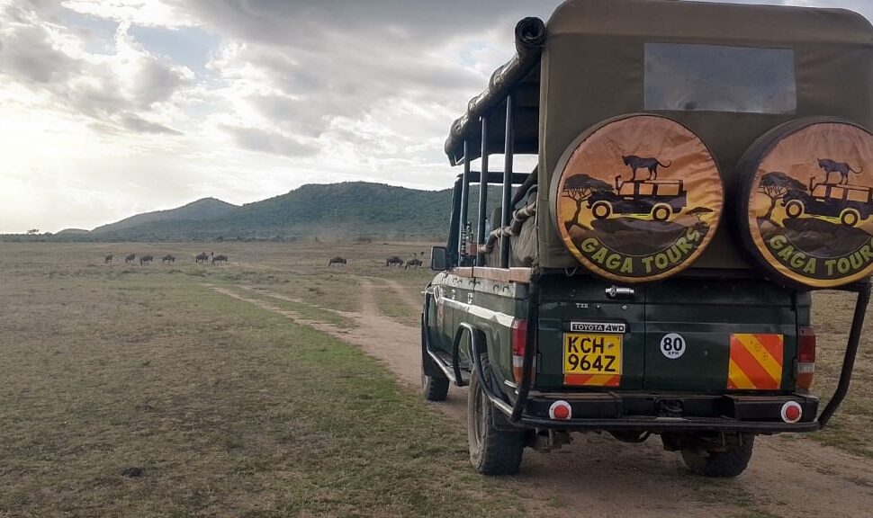 gaga tours 7 day expedition travel kenya