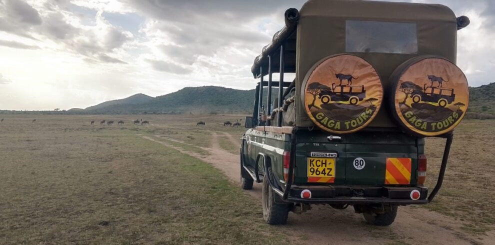 gaga tours 7 day expedition travel kenya