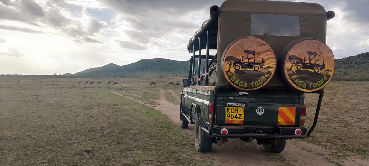 gaga tours 7 day expedition travel kenya