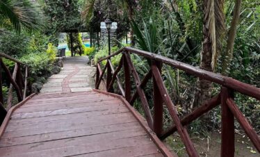 lake naivasha-gaga tours