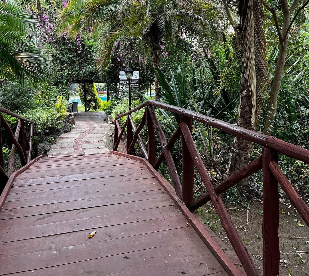 lake naivasha-gaga tours
