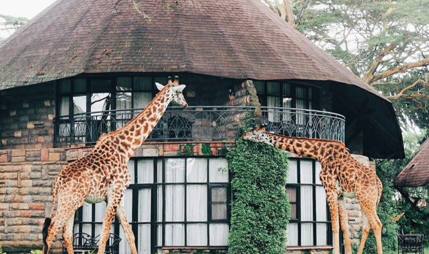 4 DAY SAFARI – LAKE NAIVASHA AREA ATTRACTIONS & MASAI MARA RESERVE