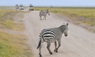 amboseli national park-gaga tours