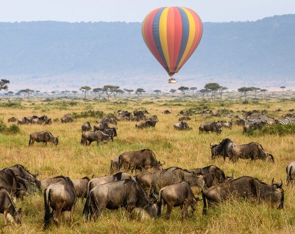 Balloon-safaris-Mara-with-Gaga-Tours-Kenya