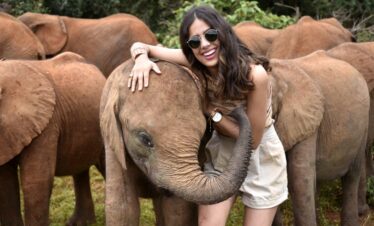Elephant-Orphanage-Gaga-Tours-Kenya