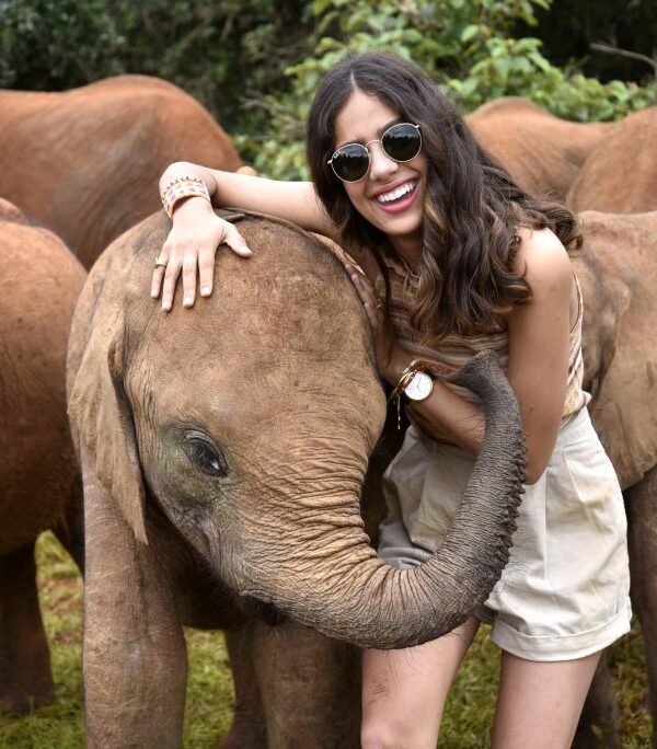 Elephant-Orphanage-Gaga-Tours-Kenya