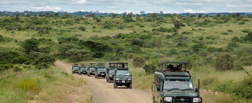 gaga tours-kenya safaris