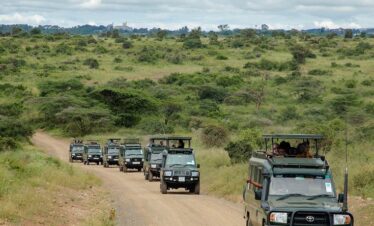 gaga tours-kenya safaris