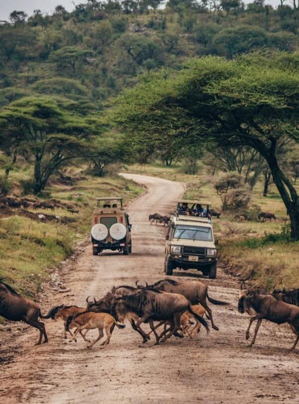 lake-manyara-gaga-tours-kenya