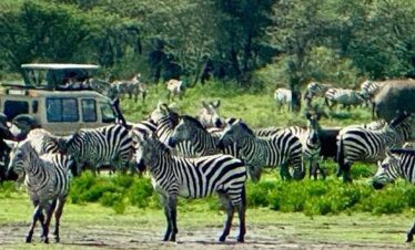 maasai mara game reserve-gaga-tours