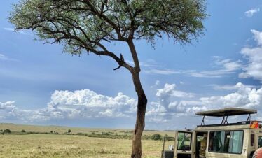 bush lunch at masai mara-gaga tours