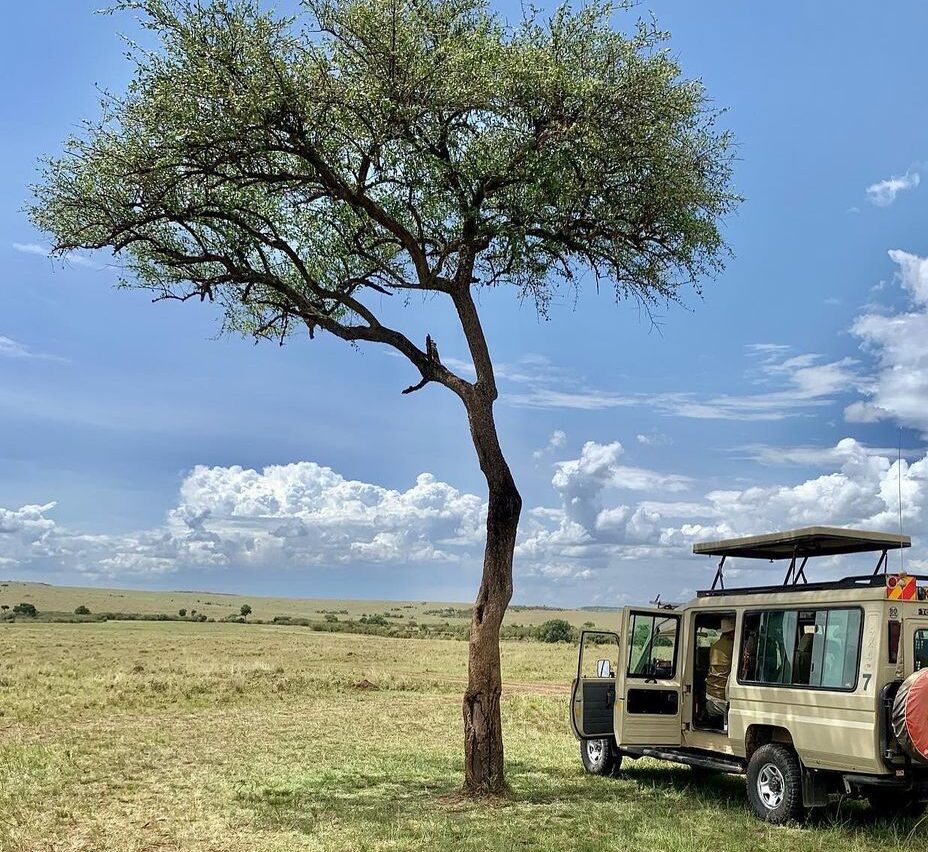 bush lunch at masai mara-gaga tours