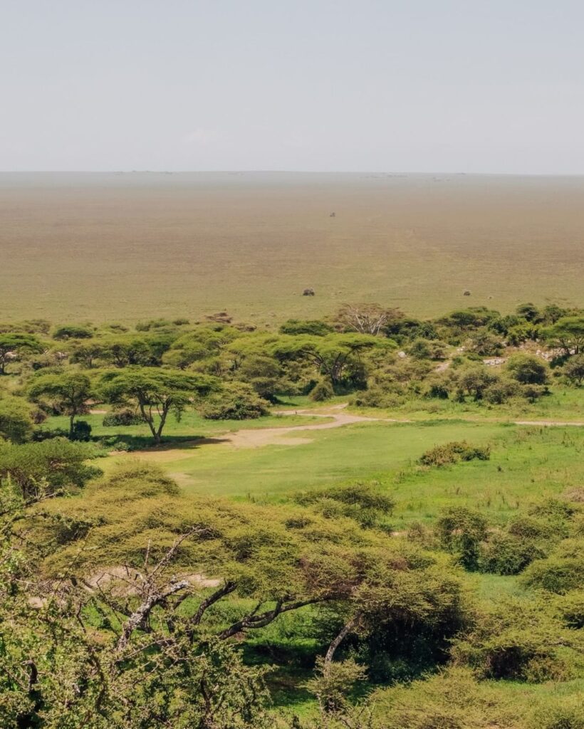 serengeti-gaga tours