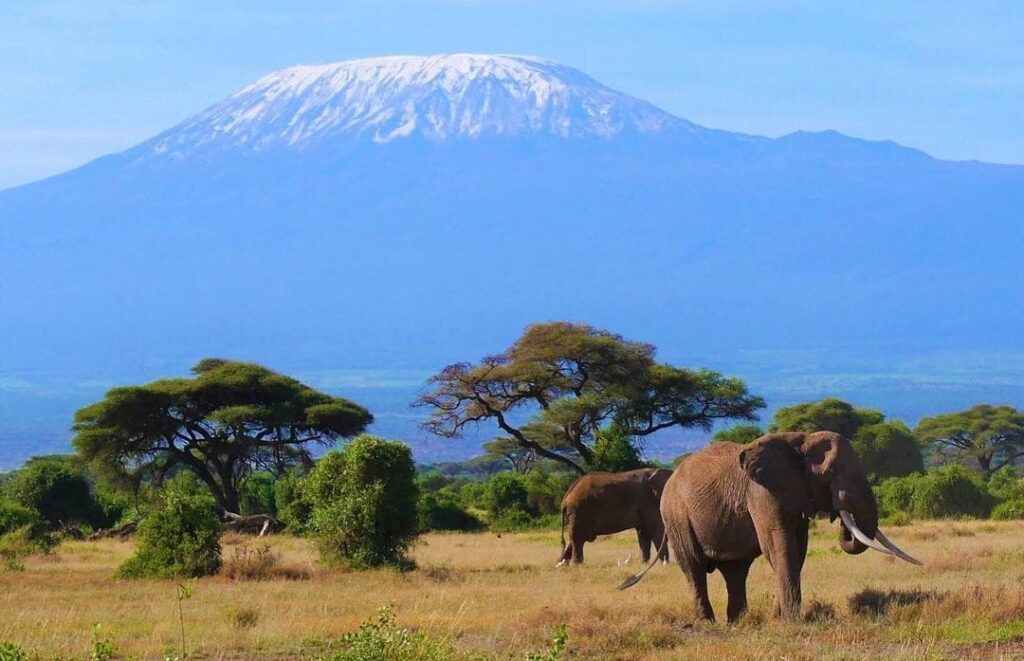 tsavo east facing kilimanjaro -gaga tours kenya