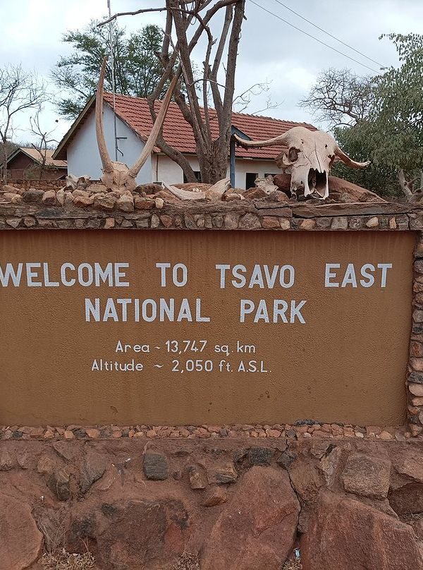 tsavo-east national park-gaga-tours