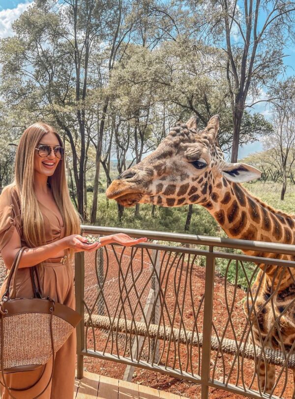 giraffe center gaga tours safari.