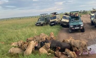 kenya-tanzania-14-day-safari-gaga-tours-kenya