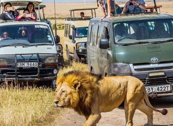 Exploring the Maasai Mara: A Family Safari Experience