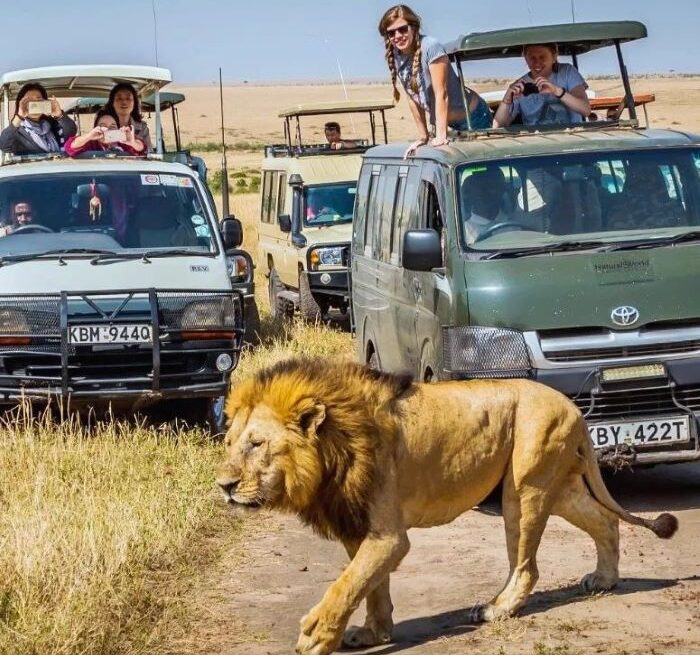 maasai mara family safari-gaga tours