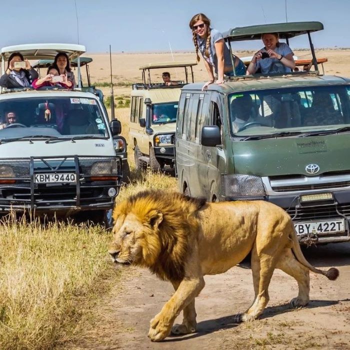 maasai mara family safari-gaga tours