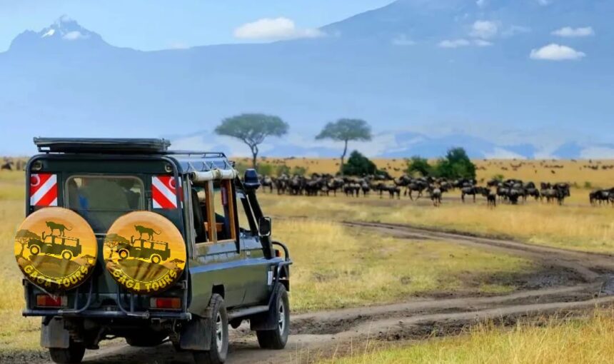 How to Plan a Perfect Kenya Safari: Tips, Itineraries & Travel Essentials