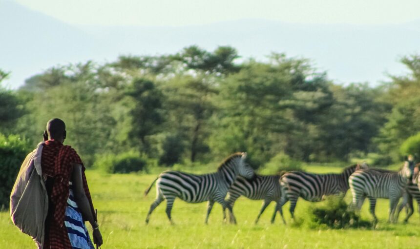 Affordable Masai Mara Safari Packages for 2025!