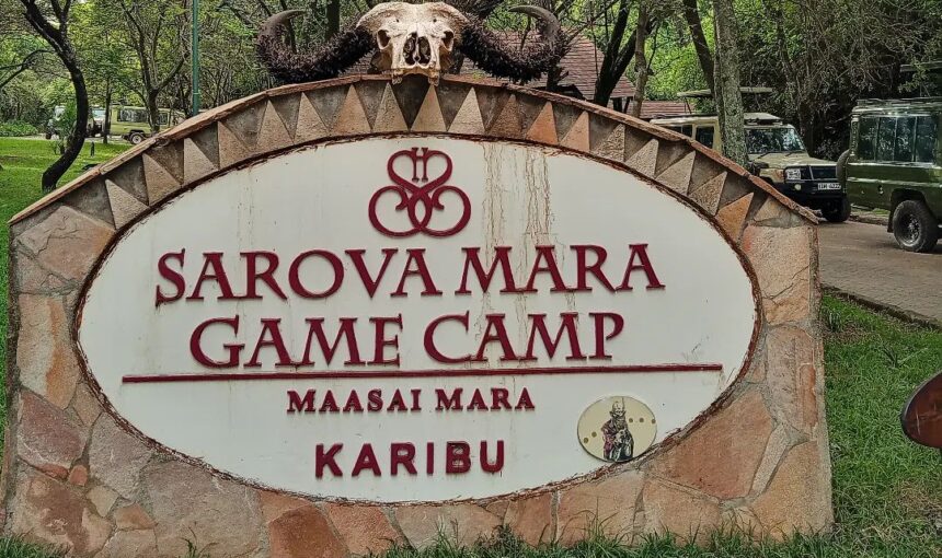 Why Sarova Mara Game Camp is the Ultimate Safari Experience