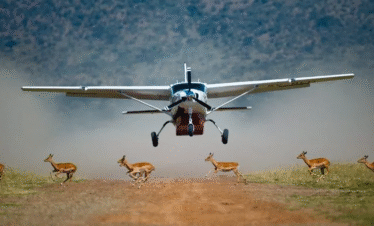 Maasai Mara Flying Packages Gaga Tours Kenya