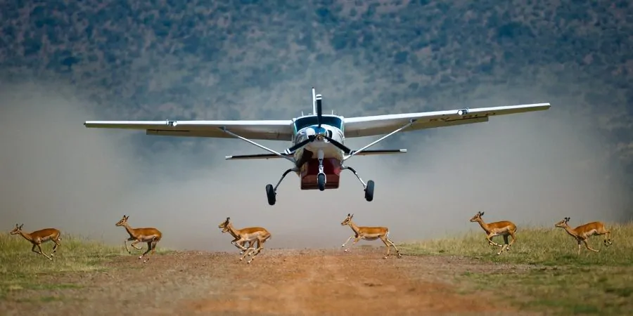 Maasai Mara Flying Packages Gaga Tours Kenya