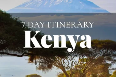 7 Day Itinerary to Kenya