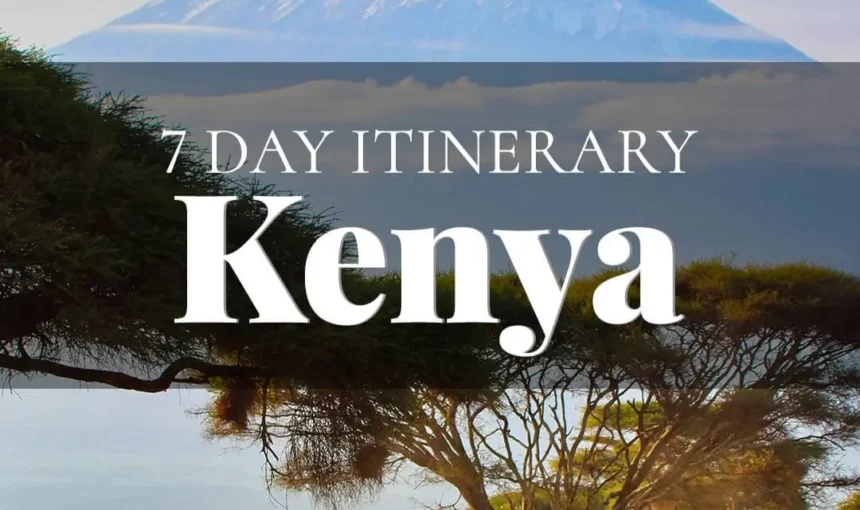 7 Days of Wonder: The Ultimate Kenya Safari & Beach Escape with Gaga Tours